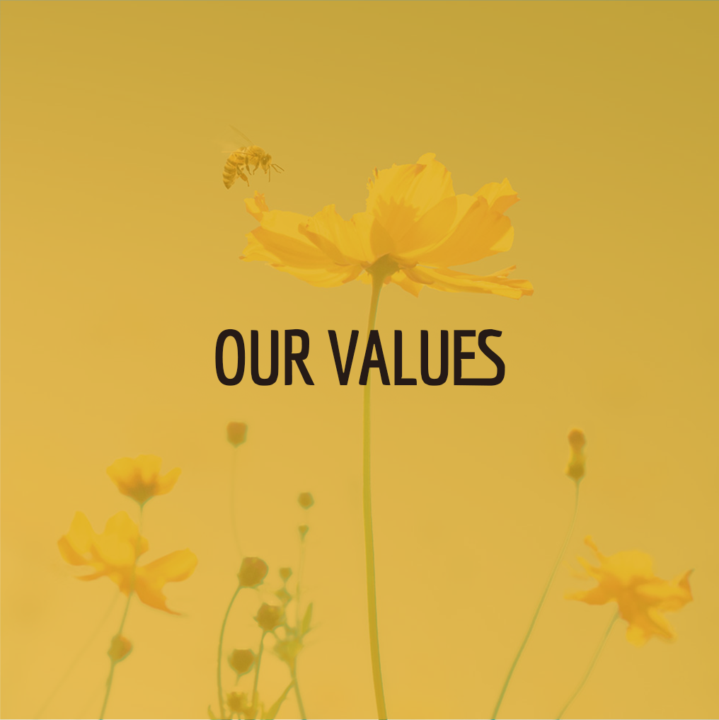 Our values_giallo